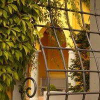 Seguridad en el hogar: ¿Cuándo colocar rejas en ventanas exteriores?
