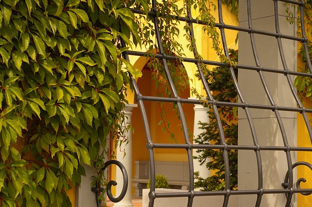 Eléctrico Bermad Brote Seguridad en el hogar: ¿Cuándo colocar rejas en ventanas exteriores? | AMS  Cerramientos